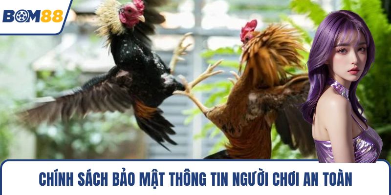 Chính sách bảo mật thông tin người chơi an toàn