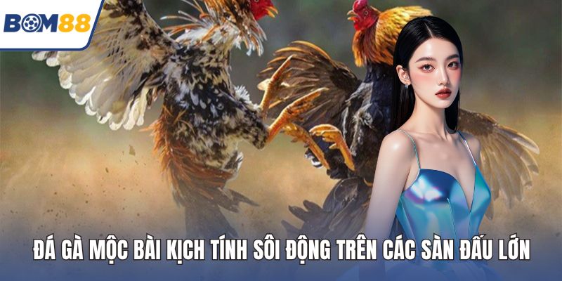 Đá gà mộc bài