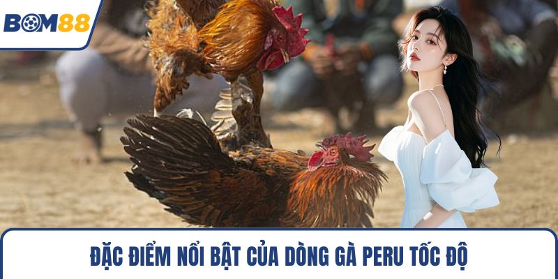 Đặc điểm nổi bật của dòng gà peru tốc độ