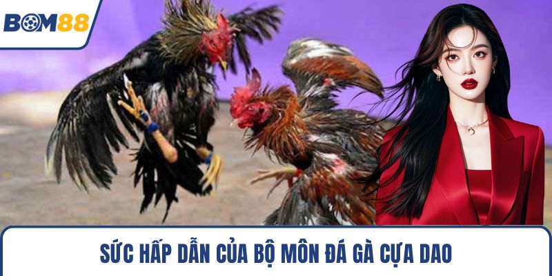 Sức hấp dẫn của bộ môn đá gà cựa dao
